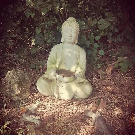 La Roulotte Aux Nuits Insolites D'argoumbat * Beaumont-de-Lomagne