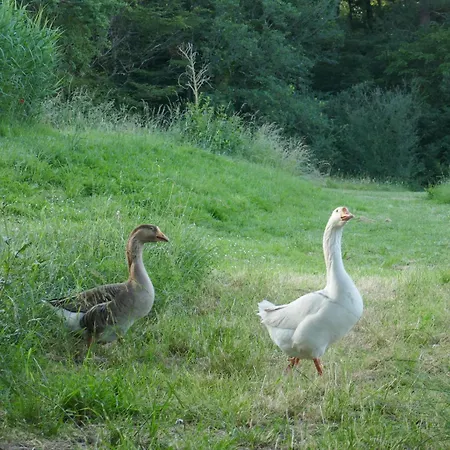 La Roulotte Aux Nuits Insolites D'argoumbat *
