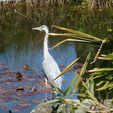 La Roulotte Aux Nuits Insolites D'argoumbat Camping Beaumont-de-Lomagne